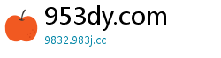 953dy.com